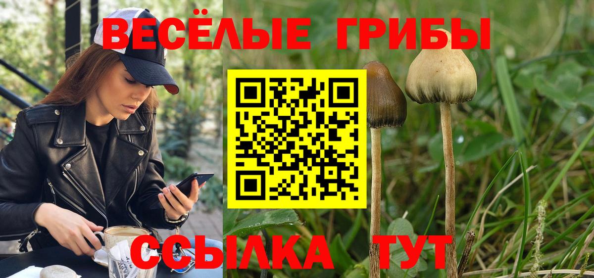 Нефтеюганск  Галлюциногенные грибы Psilocybine cubensis  Вход с VPN  Псилоцибиновые грибы прущие грибы 