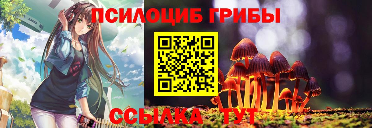 Галлюциногенные грибы Psilocybe Нефтеюганск